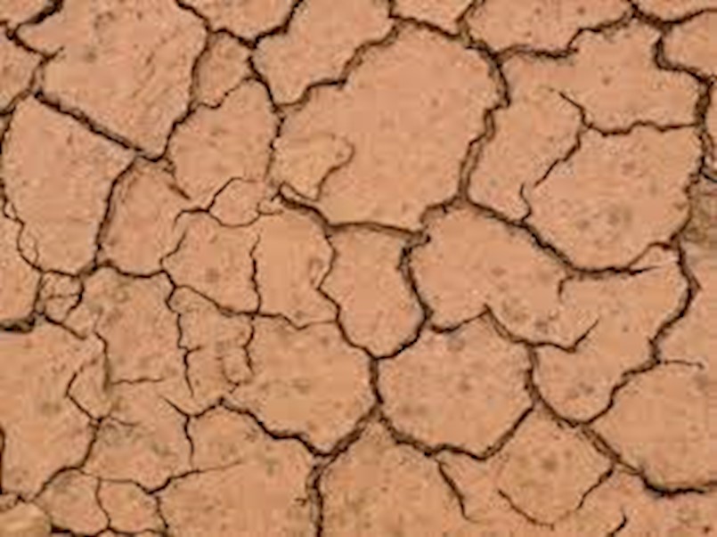 Grad Labin i okolne općine pozivaju na dostavu podataka - procjena štete od suše