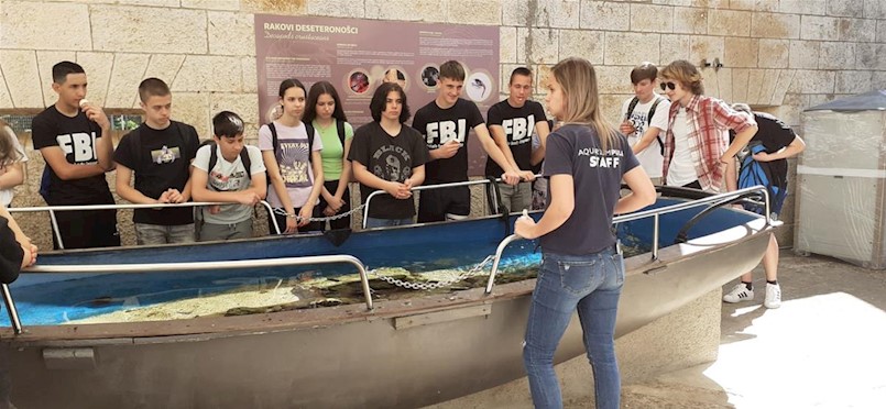 Više od 200 labinskih osnovnoškolaca u sklopu EU projekta Grada Labina posjetilo pulski Aquarium