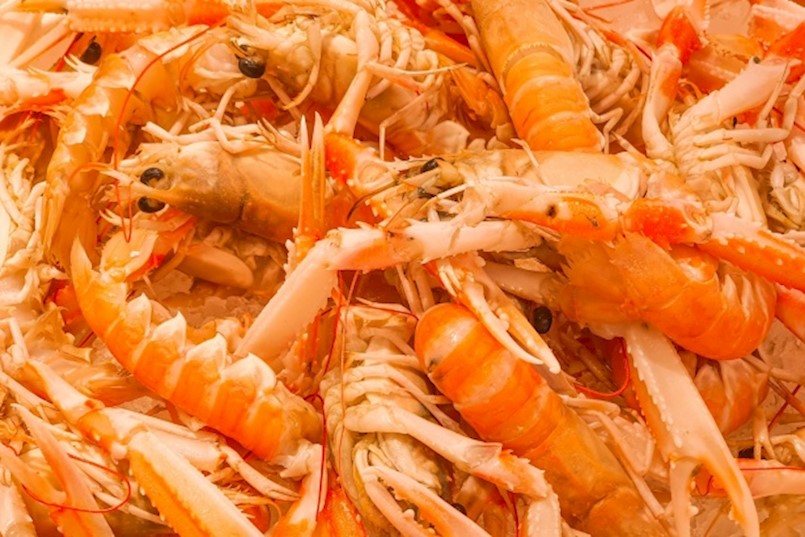 Rabačka riva u nedjelju zatvorena zbog održavanja Festivala kvarnerskog škampa