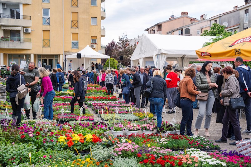 Festival cvijeća ove nedjelje na Katurama!