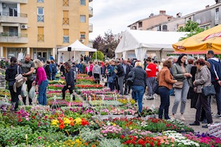 Festival cvijeća ove nedjelje na Katurama!