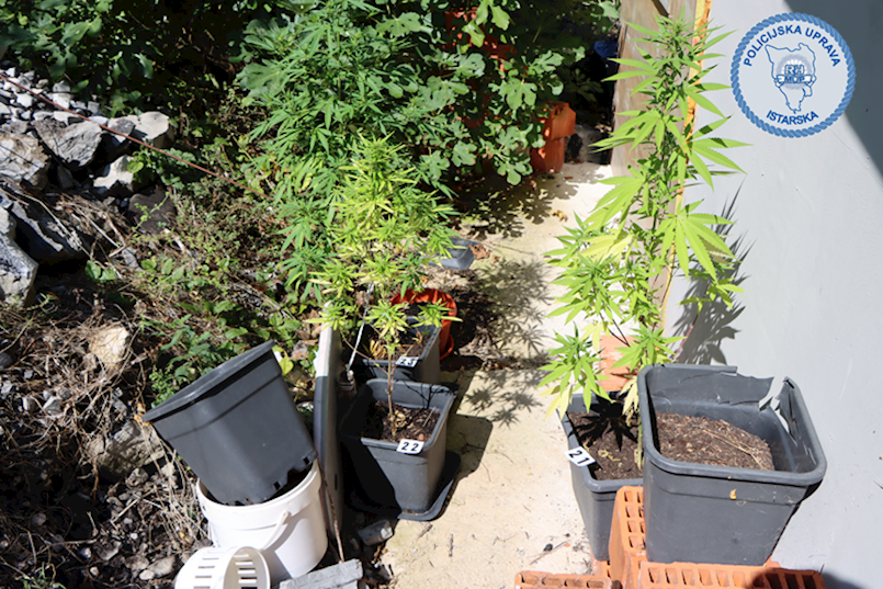 Labin: Priveden 44-godišnjak zbog preprodaje droge i drugih kaznenih djela