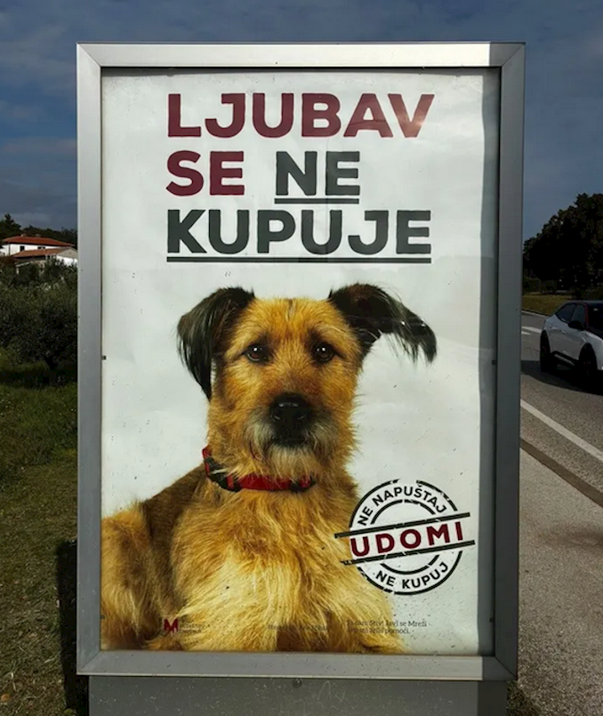 Svjetski dan zaštite životinja obilježen i u Labinu