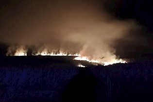 Požar na Pićanštini: Neodgovorno spaljivanje raslinja umalo dovelo do veće štete