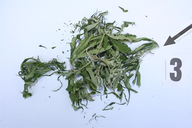 Samo u Labinu: Ponudio policajcima drogu na konzumaciju pa zaradio kaznenu prijavu