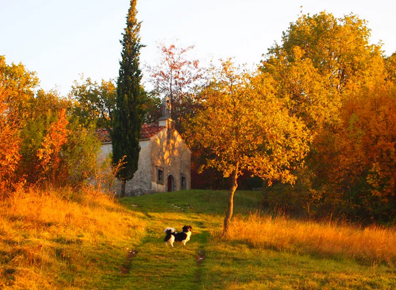 „Terra Fameja“: Projekt koji oživljava tradiciju i povezuje generacije na Labinštini