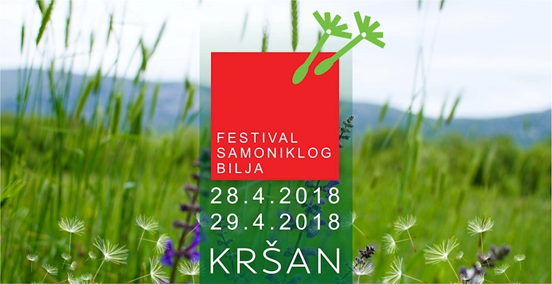 U tijeku je  9. po redu Festival samoniklog bilja u Kršanu