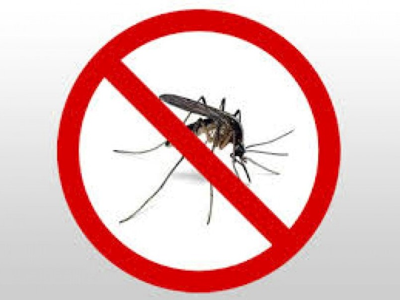 Sutra dezinsekcija komaraca na području Općine Kršan