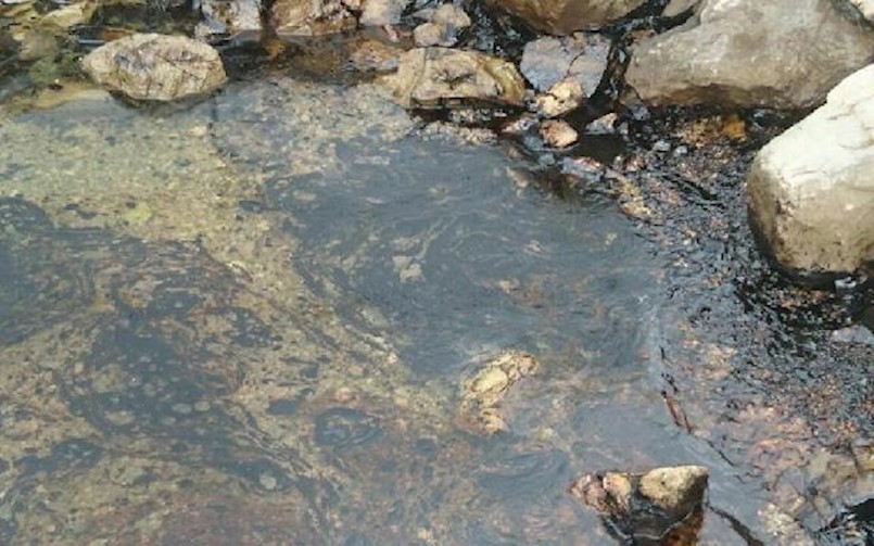 Flego brani županiju:  Najmanje dva tjedna čišćenja u Raškom zaljevu