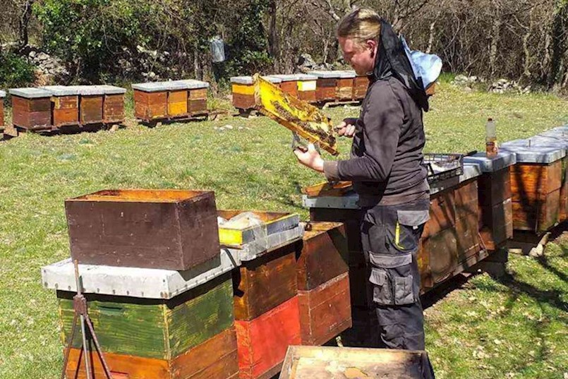PČELAR SAŠA DERMIT PROIZVEO ŠAMPIONSKI MEDUN: Pčelarenje zahtijeva stalna ulaganja, učenje i nadogradnju znanja