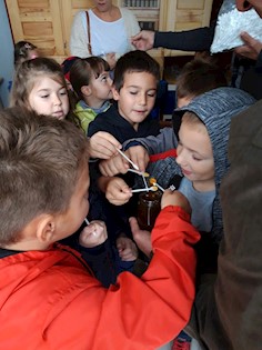 Kockica u pčelinjaku