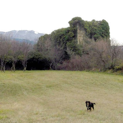 Zaboravljeni srednjovjekovni dvorac u Pazu u unutrašnjoj  Istri