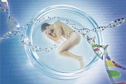 Hrvat s PMF-a stvorio prvi genetski modificiran embrij čovjeka