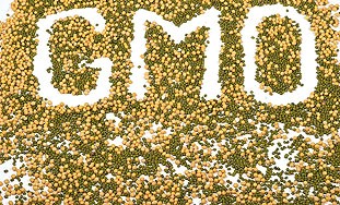 GMO: Istine i zablude o preinačenoj hrani