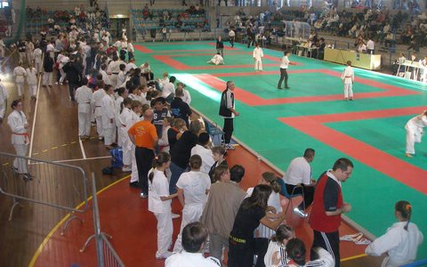 Erik Škabić i Denis Alićajić brončani na Međunarodnom judo kupu u Kopru