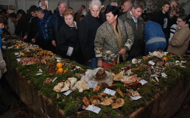 Labinsko gljivarsko društvo `Martinčica` dobilo priznanje na gljivarskoj fešti u Brtonigli