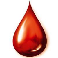 Labin: U petak akcija dobrovoljnog darivanja krvi