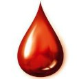 Najava akcije dobrovoljnog darivanja krvi u Potpićnu i Čepiću