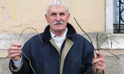 U Brovinju kraj Koromačna našao šparugu dugu metra i pol