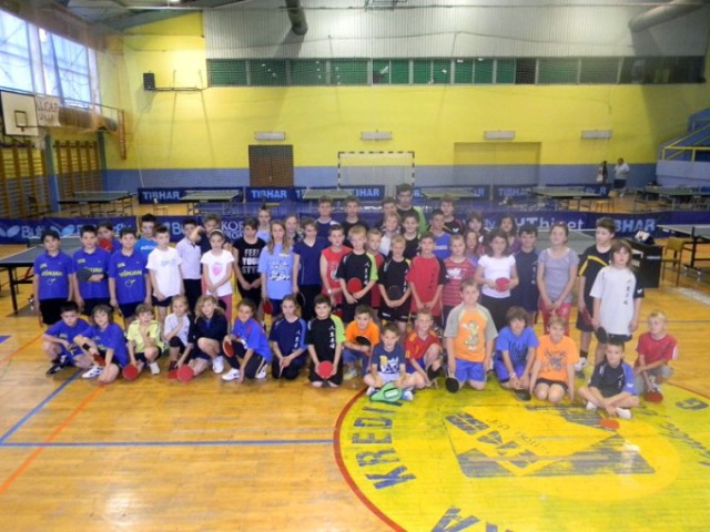 STK Brovinje na 14. Otvorenom prventsvu Umaga - Topčagić premoćno osvojila naslov