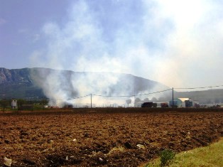Požar na skladištu hrane farme u Čepiću, 900 grla stoke ostalo bez hrane