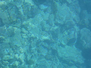 More u Istri izvrsne kakvoće