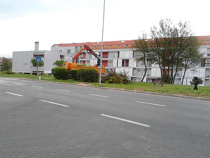Uređenje drvoreda u Labinu