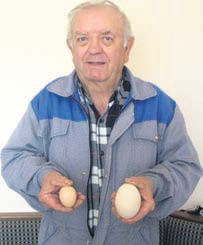 Članovi obitelji Lucul iz Labina iznenađeni nesvakidašnjim fenomenom: Jaja dvostruko veća od normalnih
