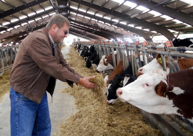 Uspješna farma krava: Bio Adria došla do miljar glov