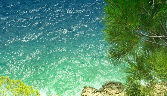 More u Istri izvrsne kakvoće