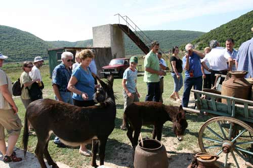 Slovenski veterinari posjetili rezervat magaraca "Liburna"