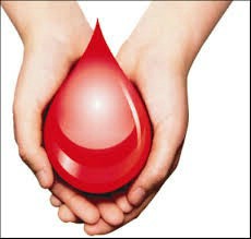 Akcija dobrovoljnog darivanja krvi u Labinu i Koromačnu 15.06.2016.