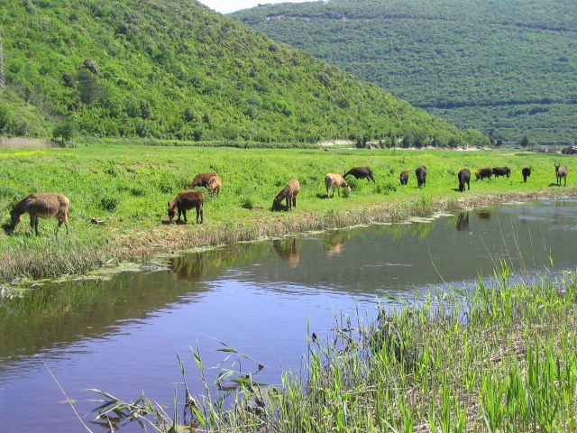 Rezervat magaraca "Liburna" slavi 15 godina postojanja