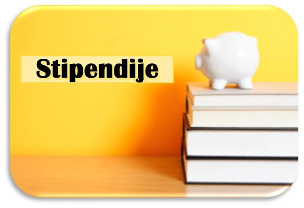 Istarska županija nakon poništaja, ponovno raspisuje natječaj za dodjelu stipendija studentima Istarske županije 2009/10